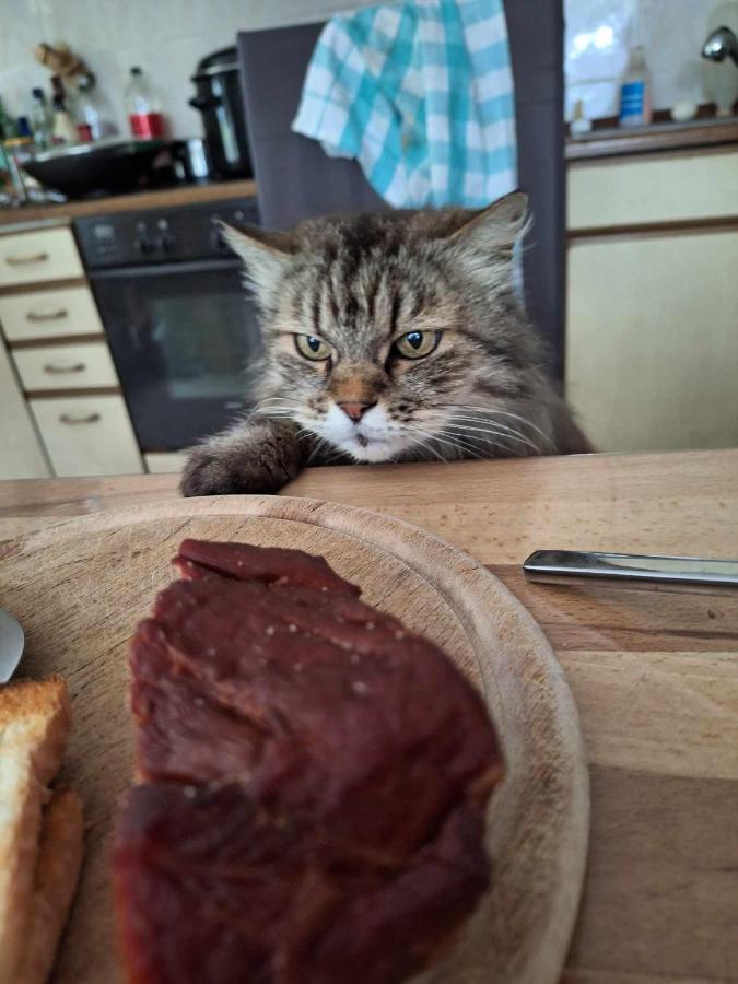 Michalowa Zagroda Piechowice  Esterno foto