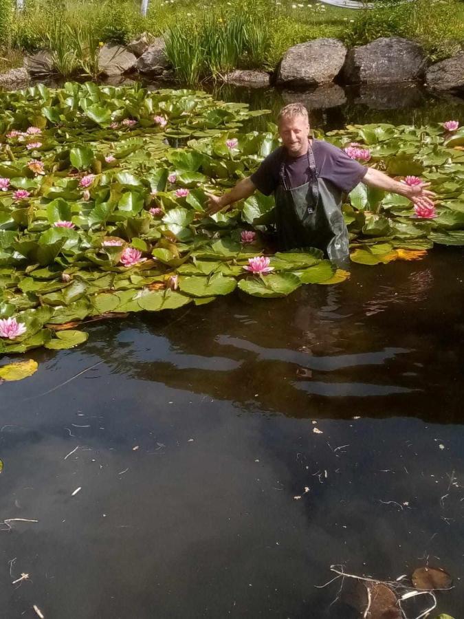 Michalowa Zagroda Piechowice  Esterno foto